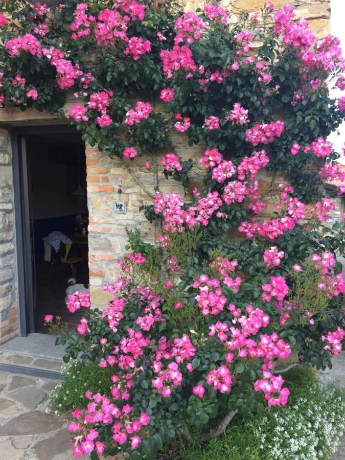 Nido D'Amore Dernice Exterior foto